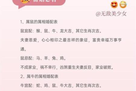 红豆与十二生肖配对看看你属于哪一种