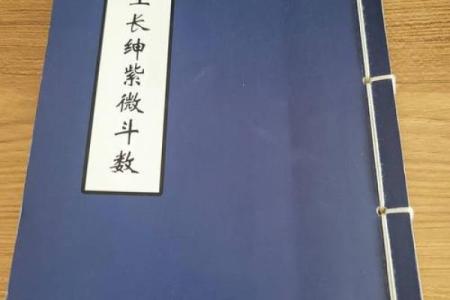 帅哥紫薇斗数