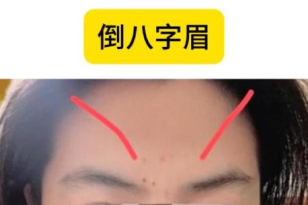 八字眉的女人不能娶吗是为什么