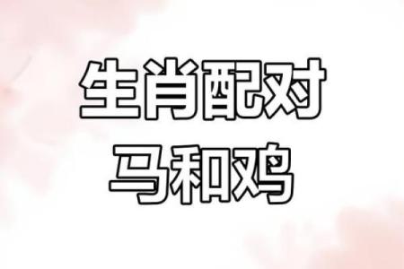 鸡跟什么生肖配对最好