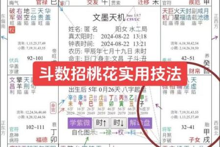 紫薇斗数看子时