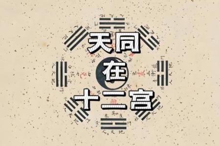紫薇星天相星在疾厄宫