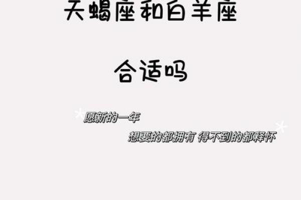 白羊天蝎座配对指数分析