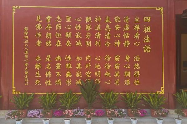 入道要算命吗
