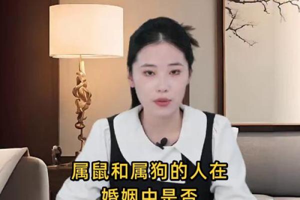 鼠狗生肖配对姻缘合适吗 鼠狗婚配的婚姻如何？