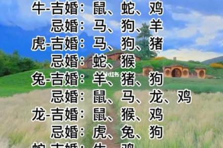91年属什么生肖配对