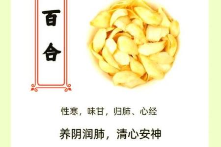 百合姓名配对 名字百合的意思？