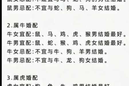 2000年属什么生肖配对男 2000年属什么生肖女婚配