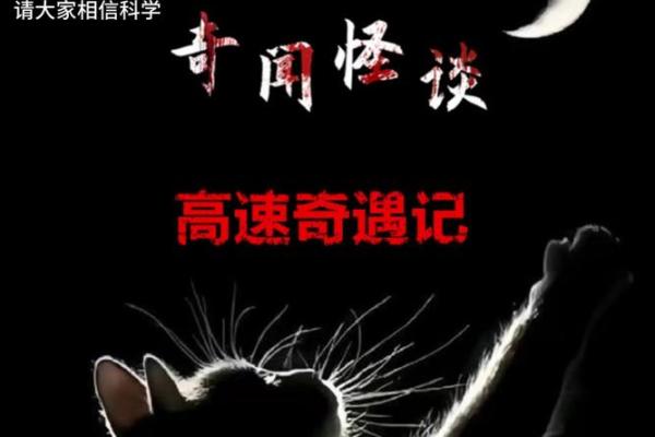 傅佩荣：我劝很多人不要算命，为什么？有一段我亲身经历的故事