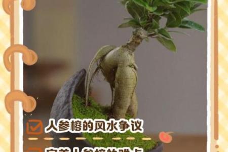 如何通过养植物改善室内风水