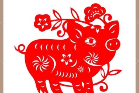 属猪的八字