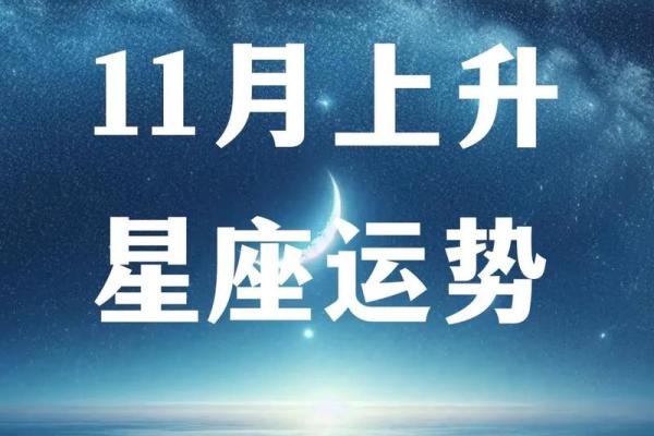 裴恩2024星座九月运势