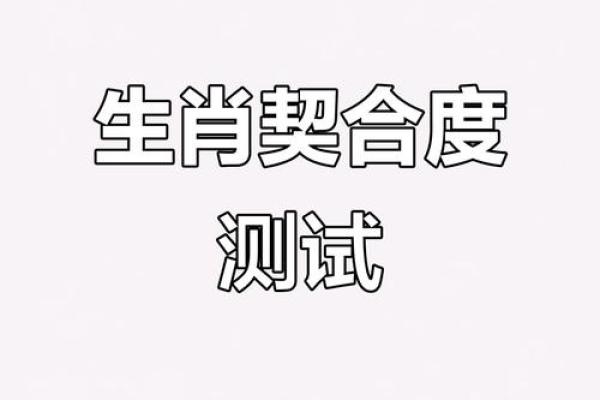 生肖虎配对
