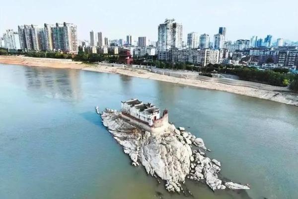 干旱之地观音救打一肖