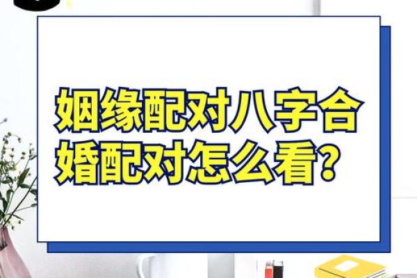 八字合婚适合工作，如何选专业？