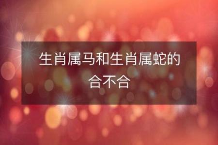生肖马的姻缘配对，哪些生肖最合适？