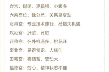紫薇斗数紫薇入事业