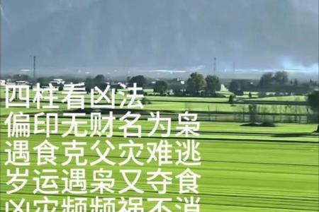 八字地势能看出什么