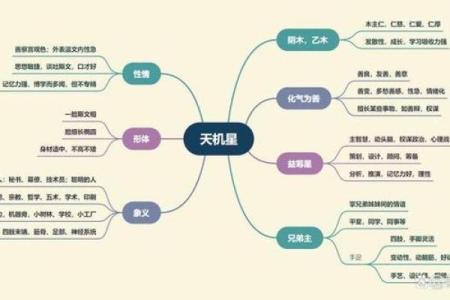 紫微斗数：天机星