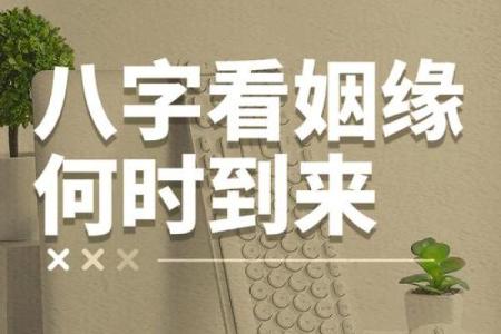 五行八字分析婚姻感情，看你的姻缘如何