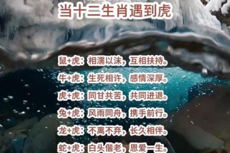 属虎和属牛的配对可行吗