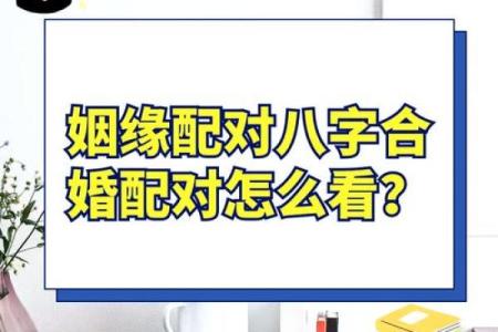 八字合婚适合工作，如何选专业？