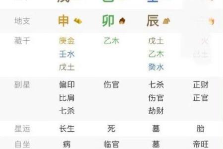 申辰相拱女命  八字申辰相拱
