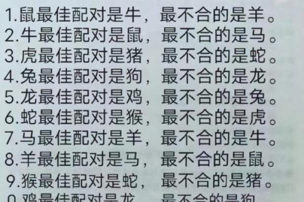 属鼠和什么属相最配对 属鼠和什么属相相冲