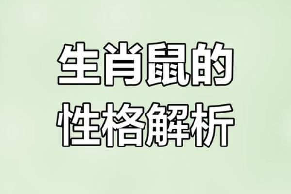 属鼠A血型的人性格与事业姻缘