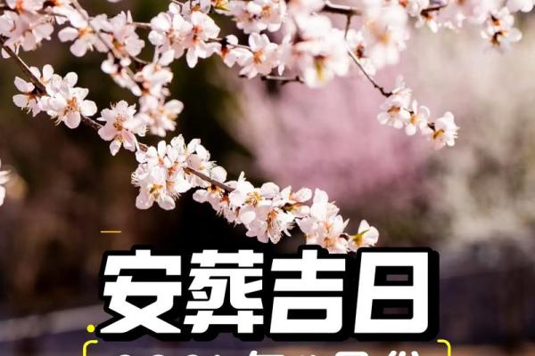 下葬吉日2024年12月