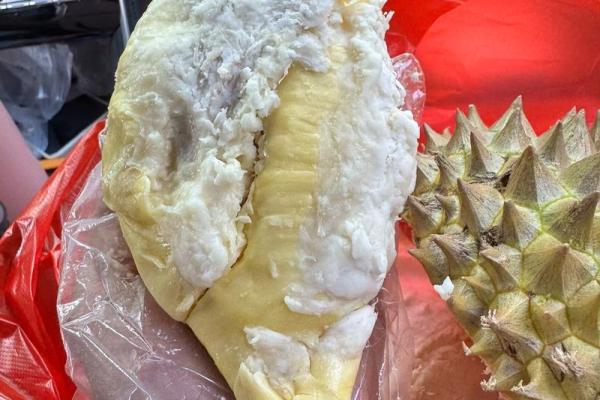 供奉财神爷的水果用榴莲可以吗
