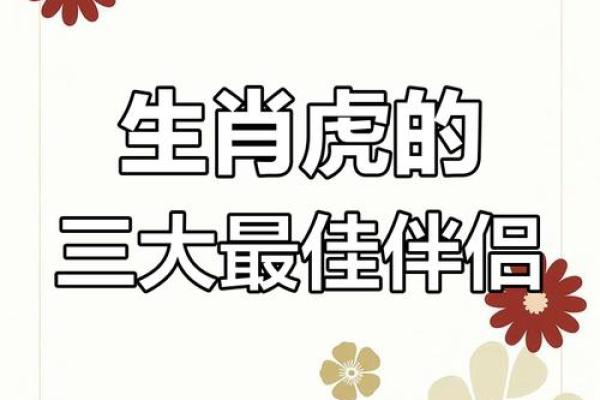 生肖配对什么生肖最好 最好的生肖组合