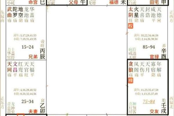 紫薇斗数之巨门