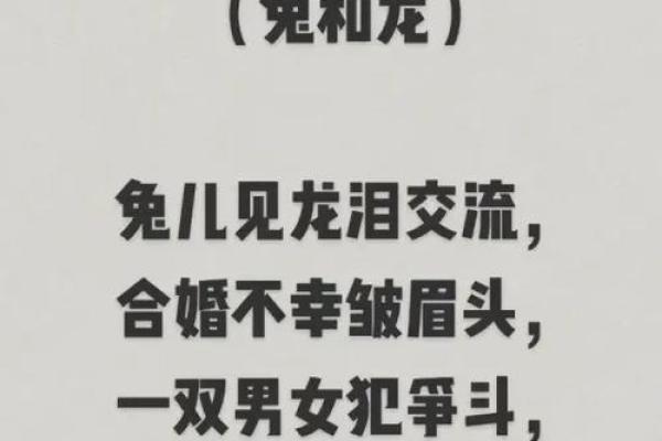 属兔男和什么属相最配对
