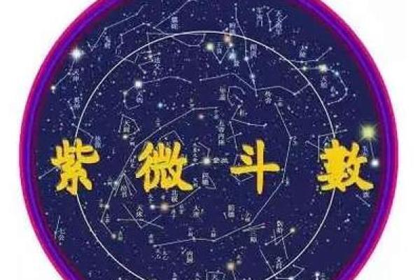 紫薇斗数科甲星