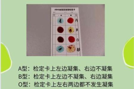 从血型的角度看寿命长短 长知识的科学论