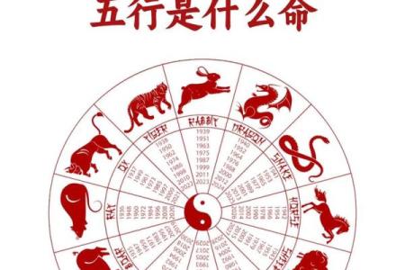 1969年属什么生肖配对最好 1969年属什么生肖五行