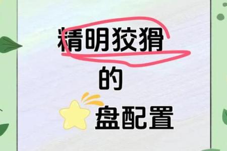 看似呆头木脑 其实心里比谁都精明的星座
