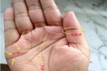 凯帝阿手相算命图解大全03