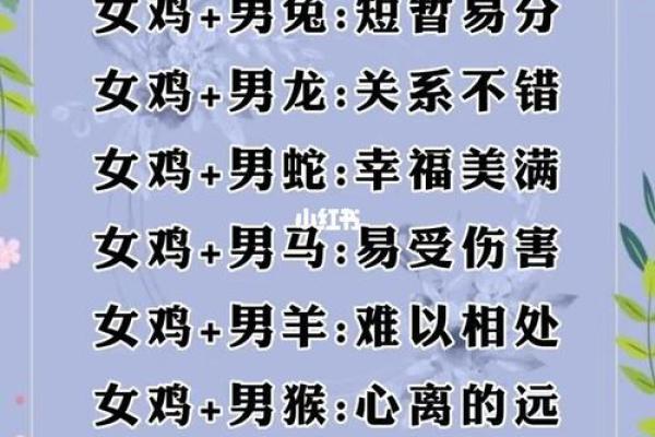 十二属相生肖配对姻缘查询
