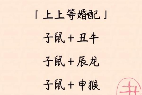 属鼠人姻缘配对 属鼠的人姻缘怎么样？
