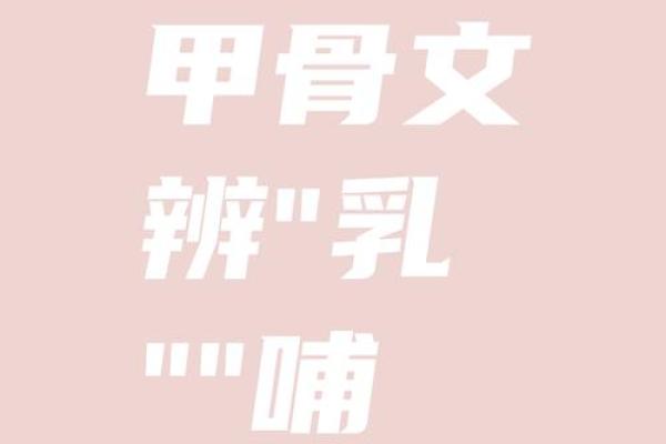 二奶的八字