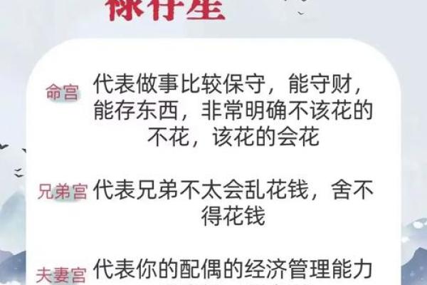 紫薇斗数财帛星