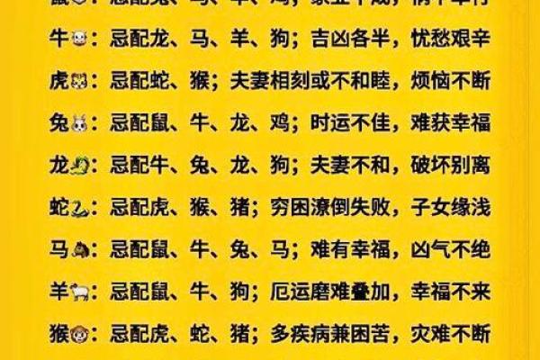 96年鼠男配什么生肖 96年鼠男与什么属相最不配对