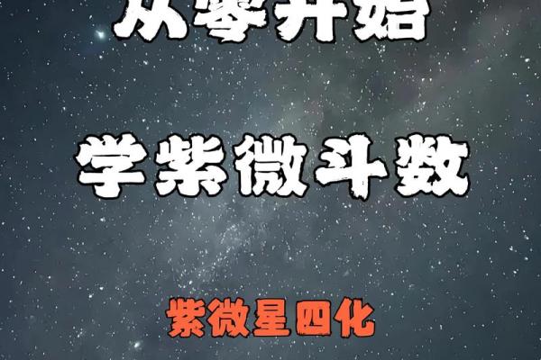 跟着AI学紫薇斗数，紫微星的四化的介绍