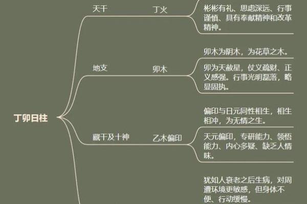 八字丁卯日柱：性格解析、命运分析与事业发展预测