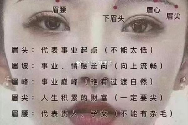 刮眉毛风水