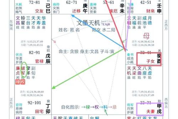 紫薇斗数安卓