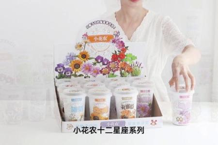 十二星座适合什么盆栽好看的花