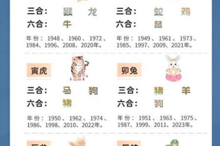 生肖属猴和属猪合吗 相合配对指数查询